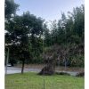 JPC-350 Multi Band HF Antenna 80m - 6m 100W - Image 2